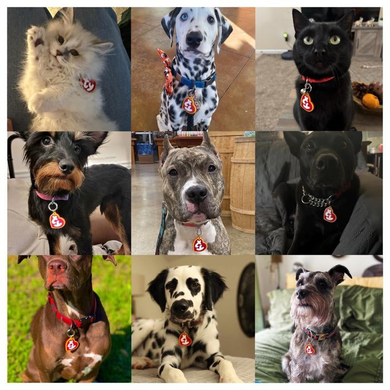 Heart Shaped Dog Tag - Personalized Heart Tag, Double Engraved Tag